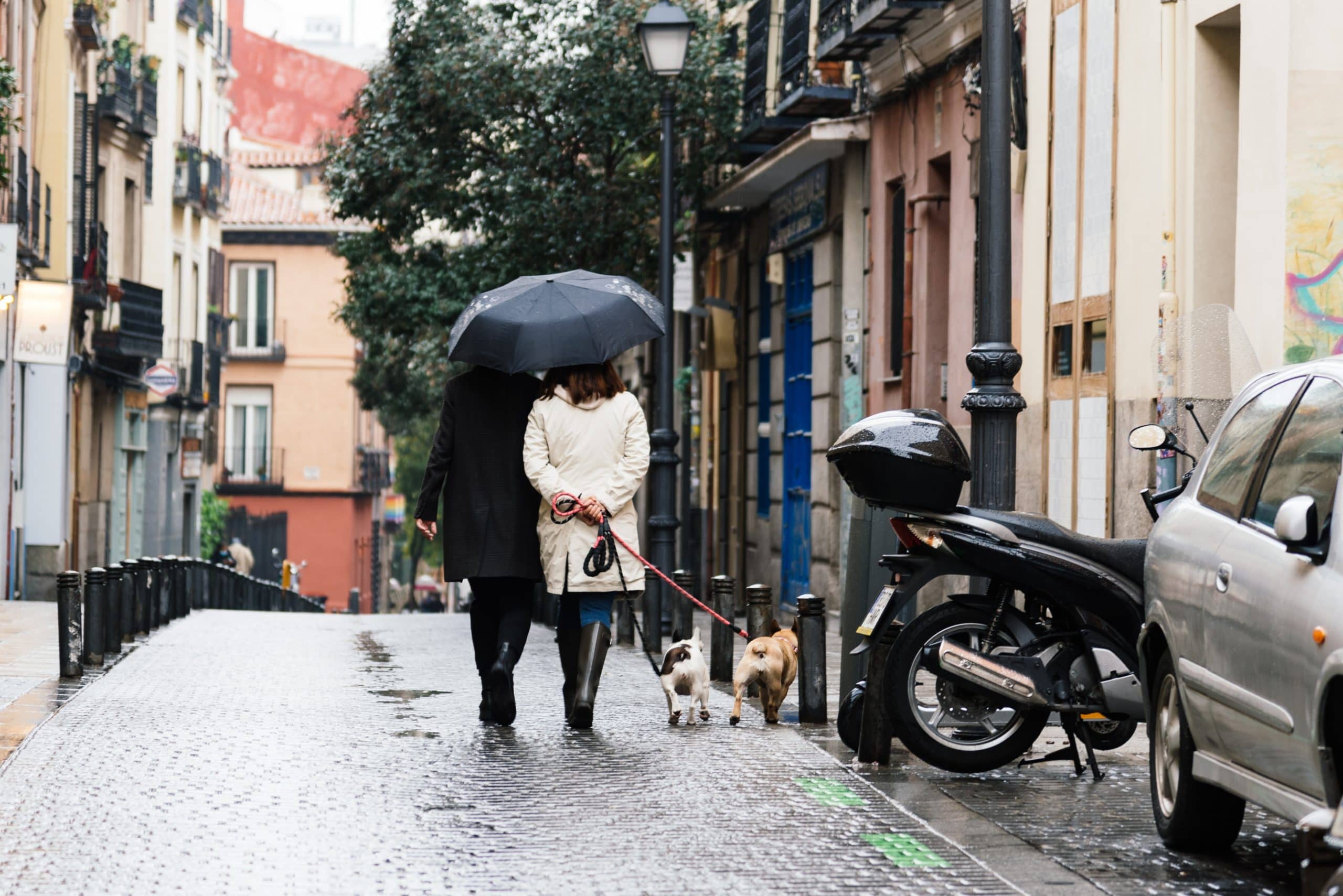 Planes en Madrid con lluvia